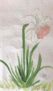 Brenda, daffodil, Chinese brush painting.jpg